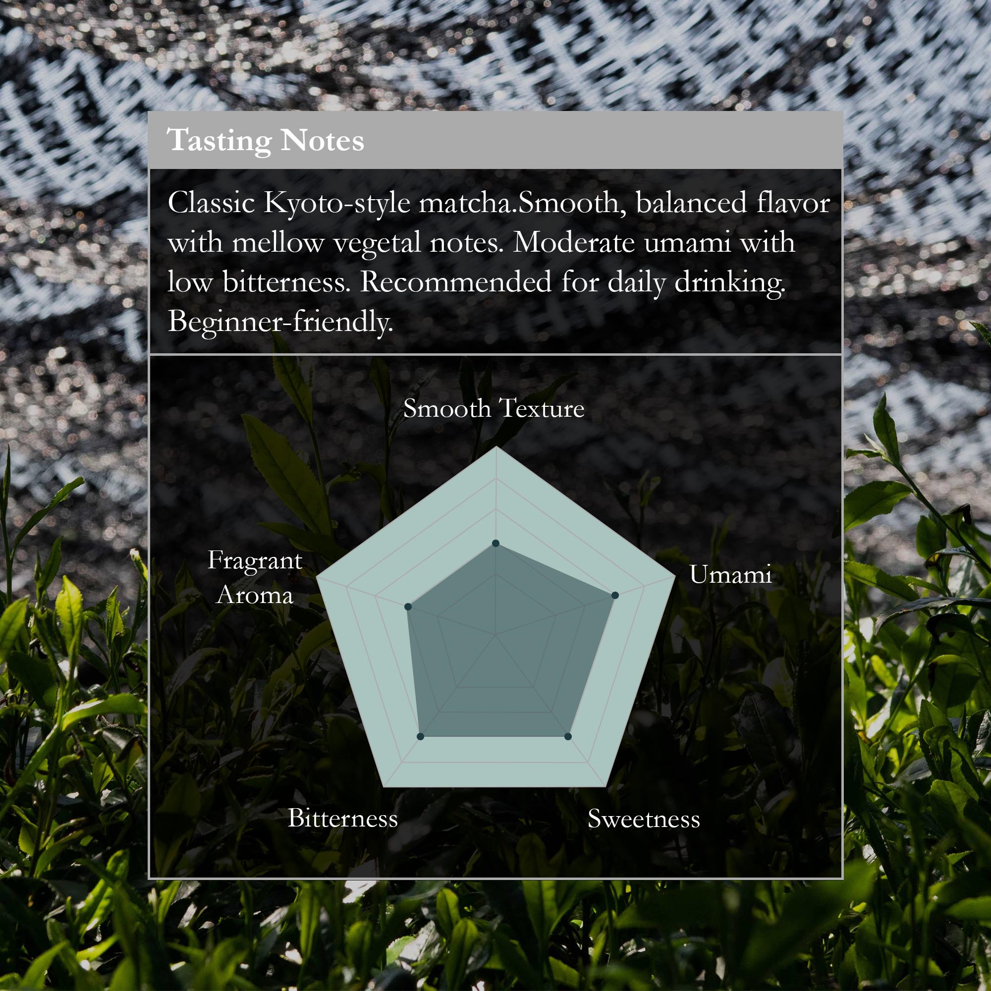 Superior Blend Matcha