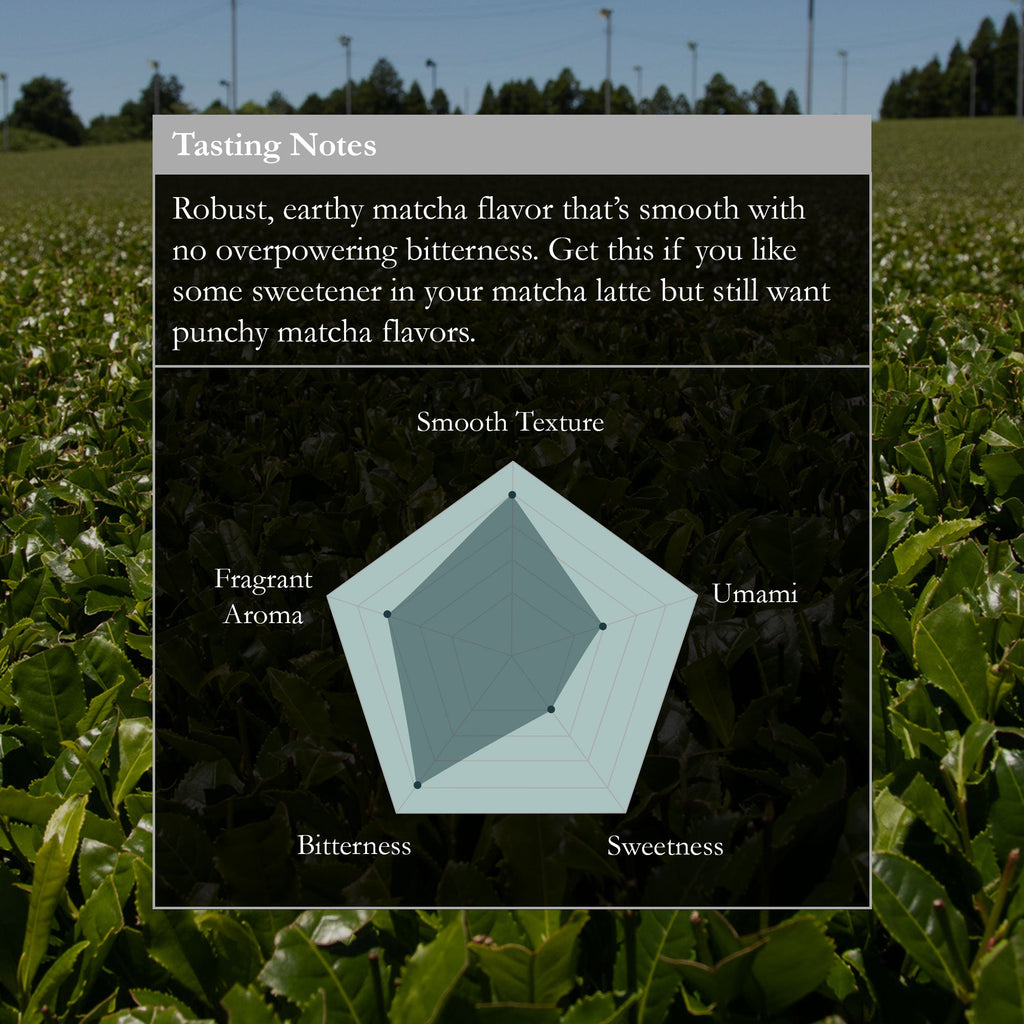 Barista Blend Matcha